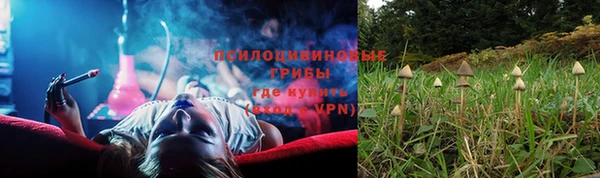 ГАЛЛЮЦИНОГЕННЫЕ ГРИБЫ Магадан