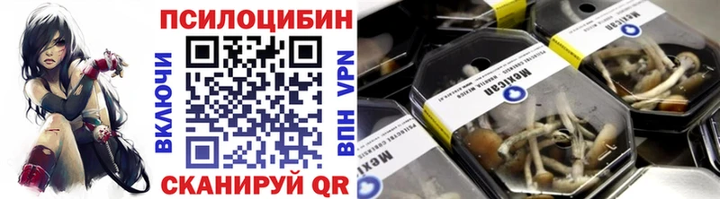 blacksprut онион  Стерлитамак  Галлюциногенные грибы Psilocybe 