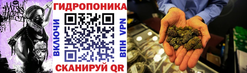 Шишки марихуана SATIVA & INDICA где можно купить наркотик Стерлитамак